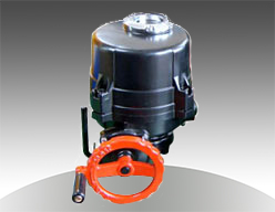 series 30 electric actuator